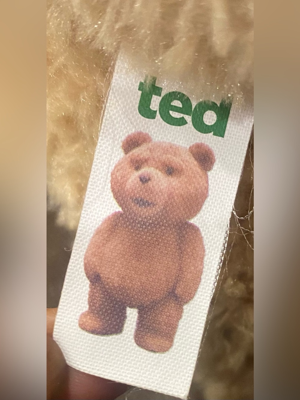 Ted Movie 16" Talking Plush Teddy Bear R-Rated Explicit Commonwealth - Working